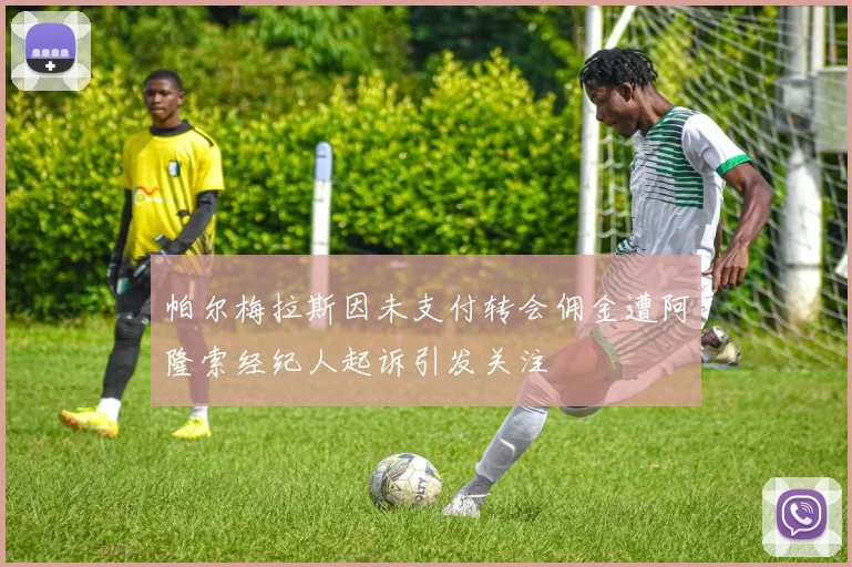 帕尔梅拉斯因未支付转会佣金遭阿隆索经纪人起诉引发关注